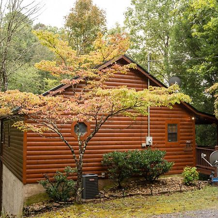 Вилла Mountain Seclusion Севьервилл Экстерьер фото